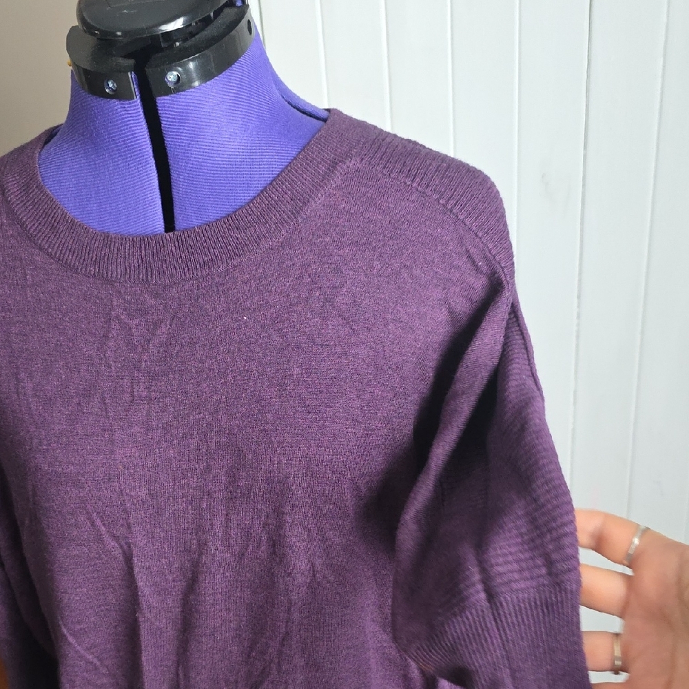 Trouve Rich Plum Crew Neck Sweater